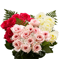 (QB) Dozen Long Roses DC: (Gypso and Green) For Delivery to Faqs.Html, :