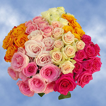 Cheap Roses Delivery - 50 Assorted Roses 2 Colors