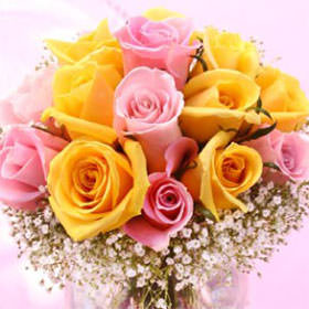 light pink and yellow roses