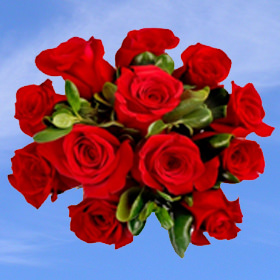 (HB) 14 Flower Centerpieces Red Roses with Pittosporum Greenery For Delivery to Fort_Smith, Arkansas