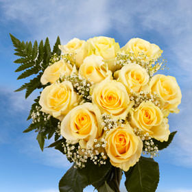 26 Cream Roses with Fillers