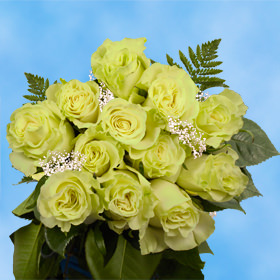 12 Green Roses with Fillers