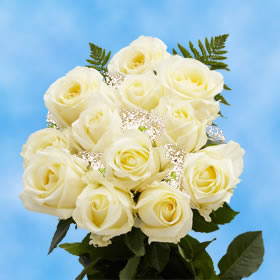 One Dozen Roses Free Delivery | GlobalRose