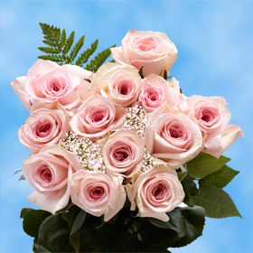 12 Pink Roses with Fillers