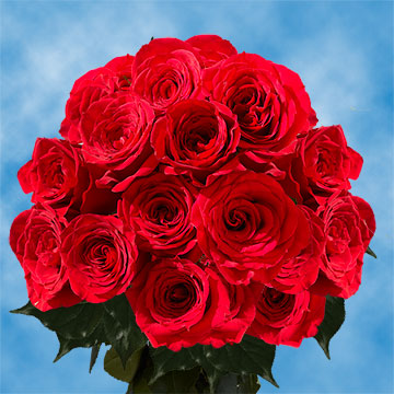 Red roses deals