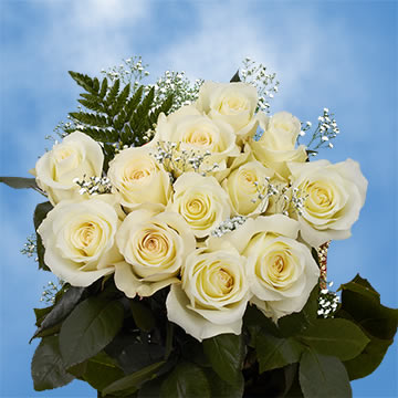 Dozen Roses Ivory | GlobalRose