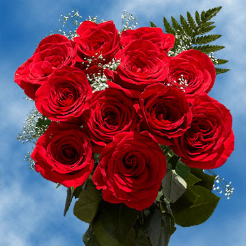 12 Red Roses with Fillers