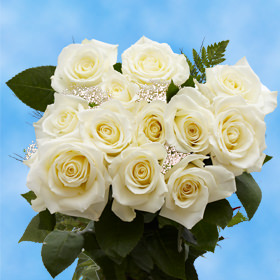 12 White Roses with Fillers
