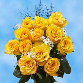 One Dozen Roses Free Delivery | GlobalRose