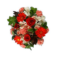 Order Fun Bouquets 2 (OC) [Include Flower Food] (OM) For Delivery to Saint_Louis, Missouri