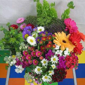Qty of Novelty Combo For Delivery to Hawaii