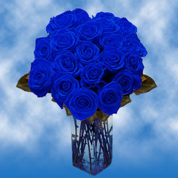 Blue Roses | GlobalRose