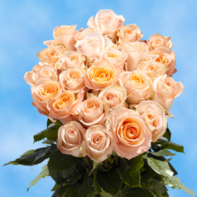24 Peach Roses Free Delivery