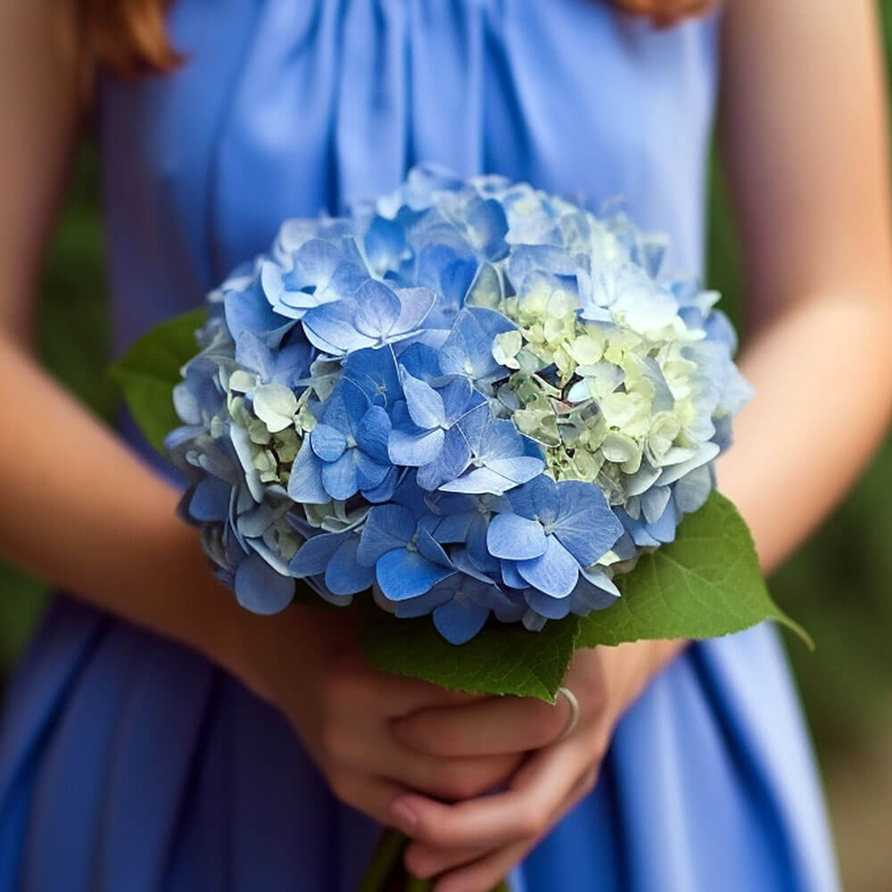 (DUO) Bridal Bqt Blue Hydrangea For Delivery to Sedalia, Missouri