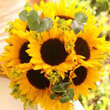 (BDx10) CP Sunflowers 3 Centerpieces For Delivery to Kentucky