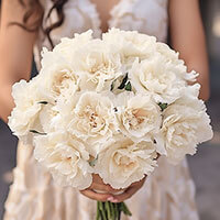 (BDx20) White Carnations Bridesmaids Bqt 6 Bouquets For Delivery to Ann_Arbor, Michigan