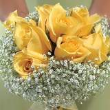 (BDx20) Classic Yellow Roses 6 Bridesmaids Bqts For Delivery to North_Carolina