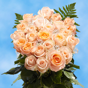 24 Peach Roses with Fillers