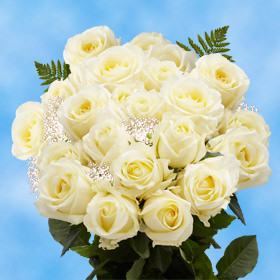 24 Ivory Roses with Fillers