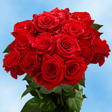Red roses deals