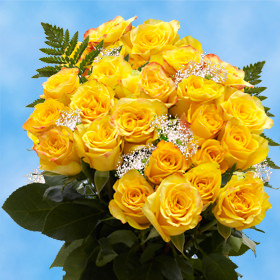 24 Yellow Roses with Fillers