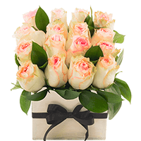 Light Pink Rose Sht Box Special 1 Bunches For Delivery to Des_Moines, Iowa