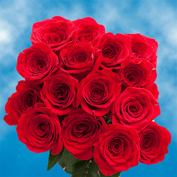 50 Mother's Day Red Roses