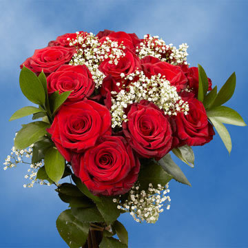 Rose Long Dozens Red (OC) (Gypso and Green) [Include Flower Food] (OM)