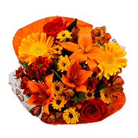 Flower Arrangement Indian Thanksgiving (OC) [Include Flower Food] (OM) For Delivery to O_Fallon, Illinois