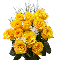 Rose Long Dozens Yellow (OC) (Gypso and Green) [Include Flower Food] (OM) For Delivery to Michigan