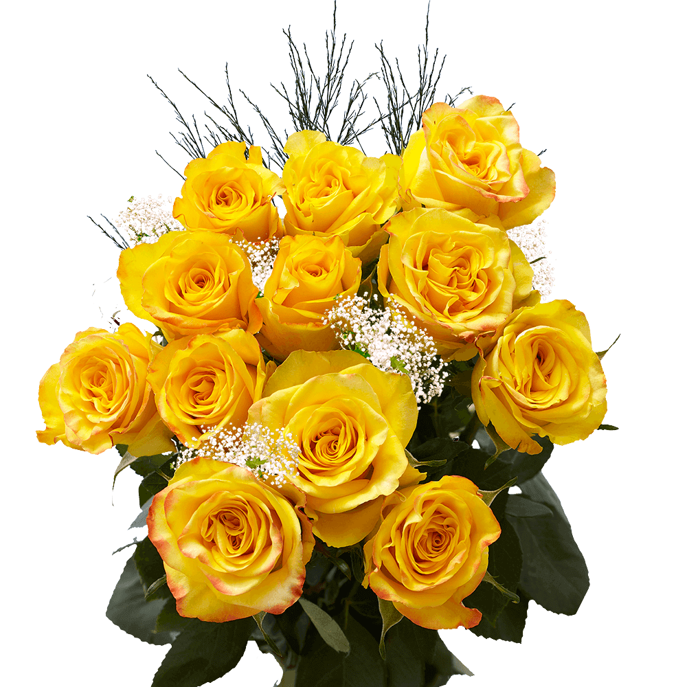 Next Day Yellow XX Long Dozen Roses | GlobalRose