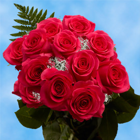 12 Hot Pink Roses with Fillers