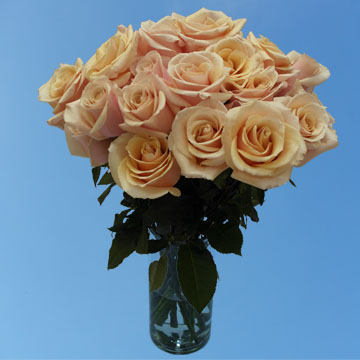 Online Roses Soft Light Pink Flower Delivery | GlobalRose