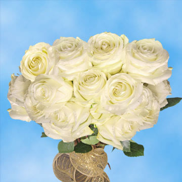 Order Big White Roses | GlobalRose