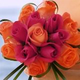 (BDx10) 3 Bridesmaids Bqt Romantic Dark Pink and Orange Roses For Delivery to Bowling_Green, Ohio