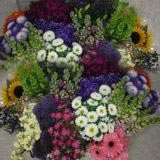 (QB) Novelty Combo Pack 12 Bunches For Delivery to Maryland