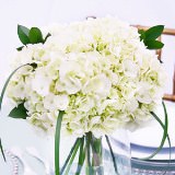 (BDx10) CP White Hydrangea 3 Centerpieces For Delivery to Jersey_City, New_Jersey