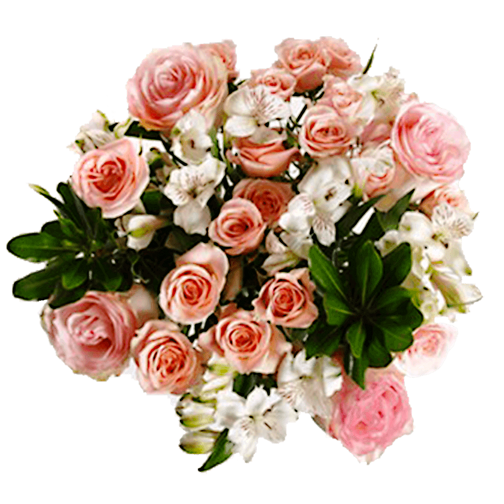 Overnight Bouquets Pink Roses White Alstroemerias | GlobalRose