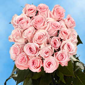 Pink Roses Flowers and Bouquets | GlobalRose