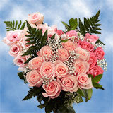 Order Bright Pink Roses | Global Rose