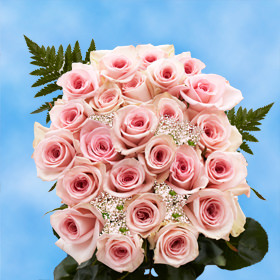 24 Pink Roses with Fillers