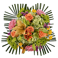 (OC) Tropical Paradise Arrangement 1 Arrangement For Delivery to Silver_City, New_Mexico