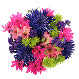 (OC) Floral Fireworks Arrangement 2 For Delivery to Yuba_City, California
