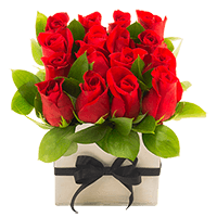 Red Rose Sht Box Special 1 Bunches For Delivery to Martinsburg, West_Virginia