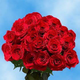 Wholesale Flowers Red Roses Special | GlobalRose