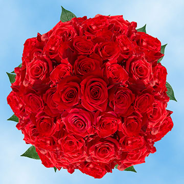 Red roses deals