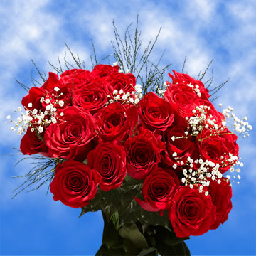 Rose Sh Red 25 Stems With Fillers (OC) [Include Flower Food] (OM)