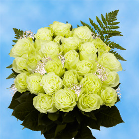 24 Green Roses with Fillers