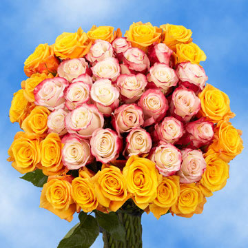 Rose Sh Assorted (OC) [Include Flower Food] (OM)