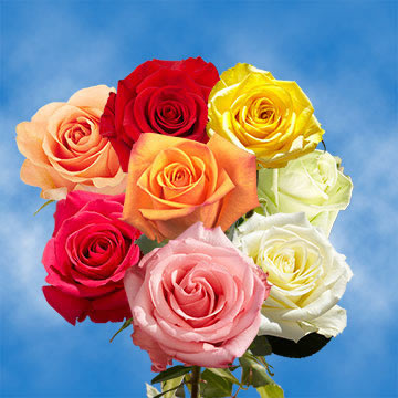 Roses Online Low Cost Flowers For Sale | GlobalRose